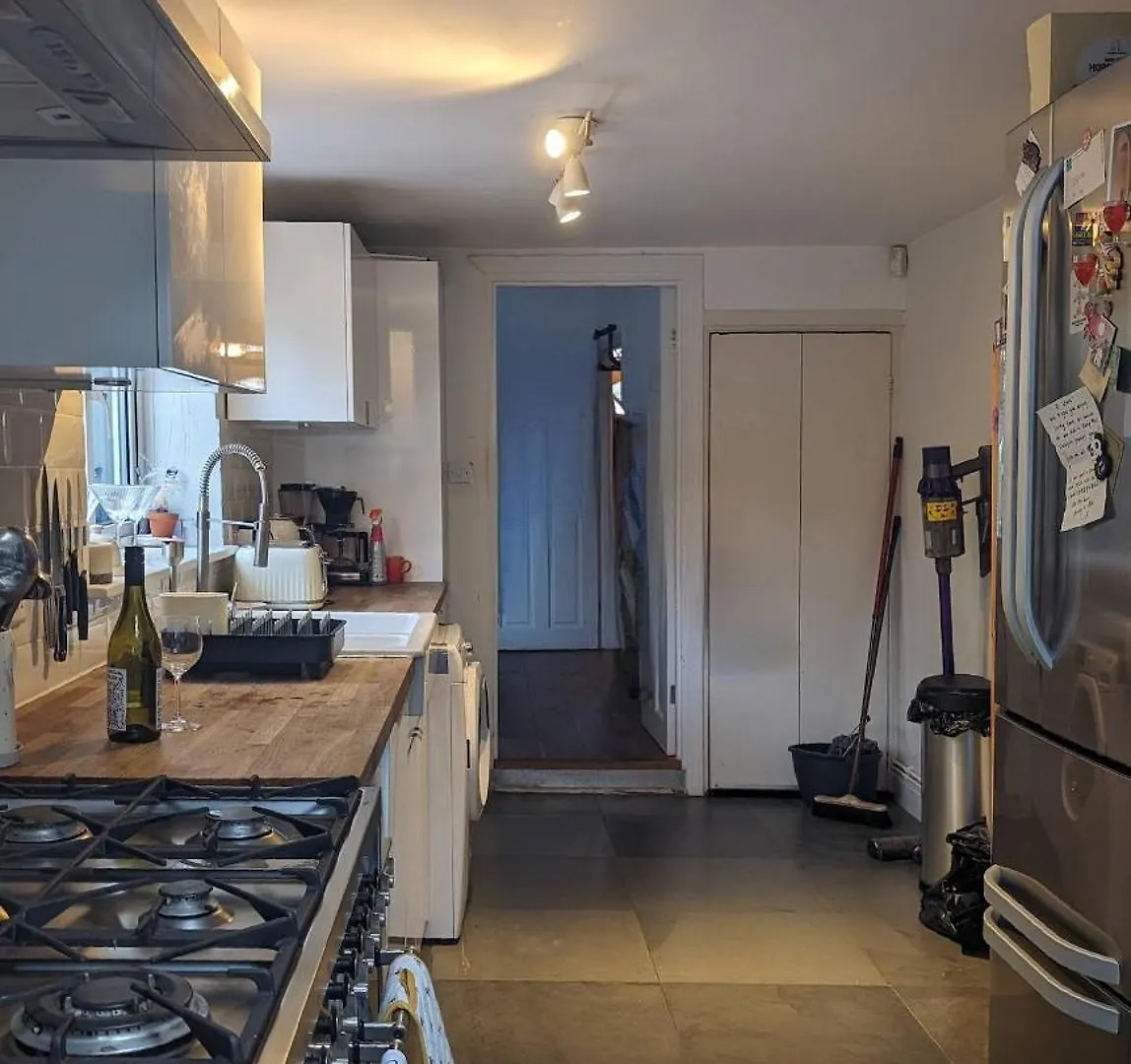 19Th Century Terraced House With Garden Bar Apartment London